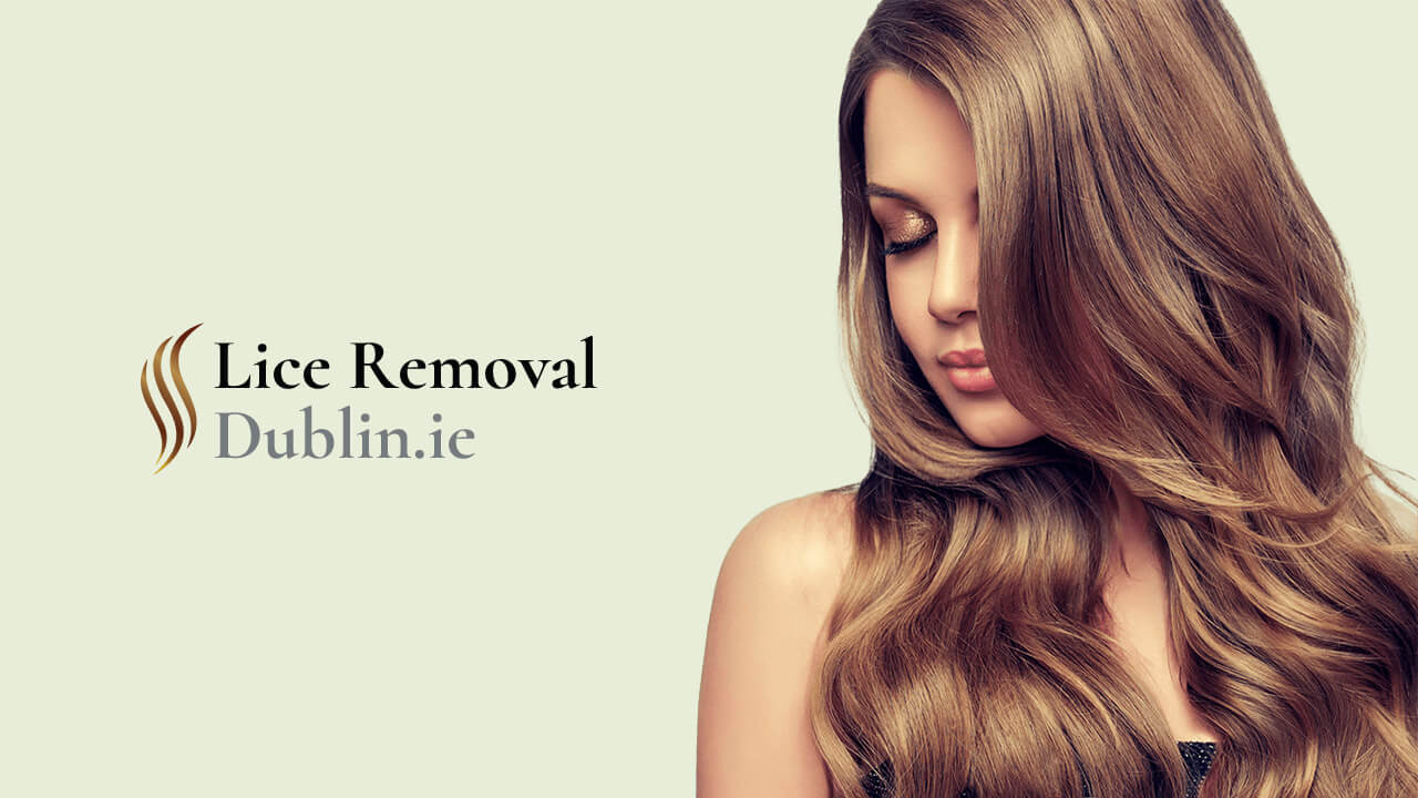 Professional Lice Removal Service Lice Removal Dublin